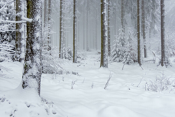 Starke Schneefälle im Taunus