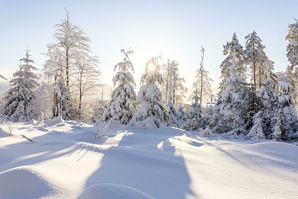Winterwetter im Taunus