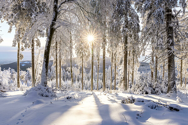 Winterwetter im Taunus