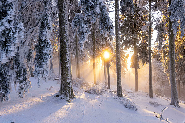 Sonnenuntergang über den Wolken