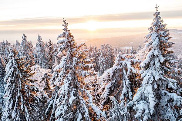 Wintermorgen im Taunus