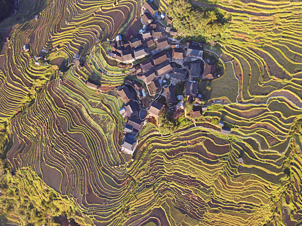 Jiapang Rice Terraces