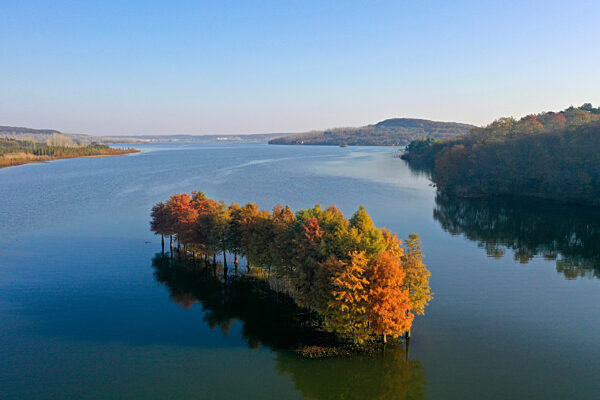 Environmental Improvement in China