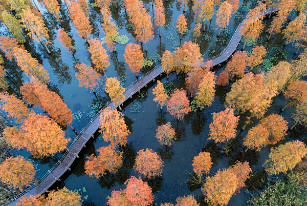 Environmental Improvement in China