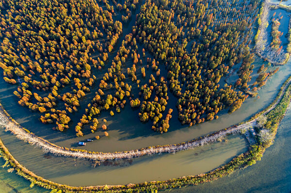 Environmental Improvement in China