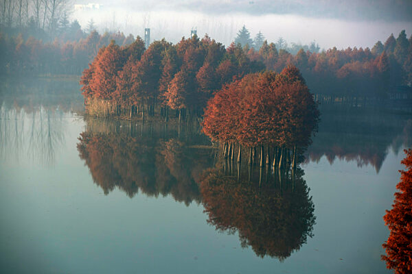 Environmental Improvement in China