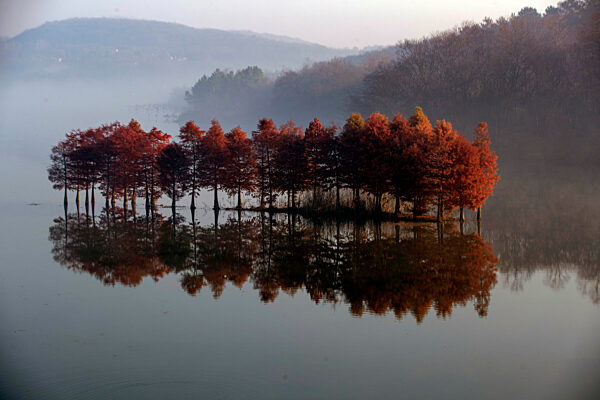 Environmental Improvement in China