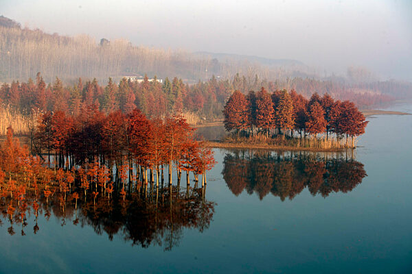 Environmental Improvement in China
