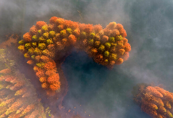 Environmental Improvement in China