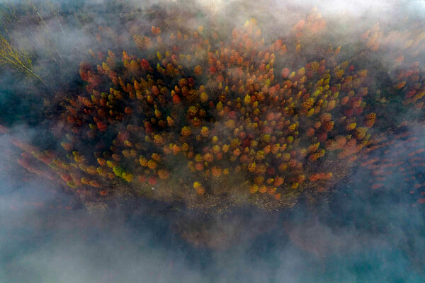 Environmental Improvement in China