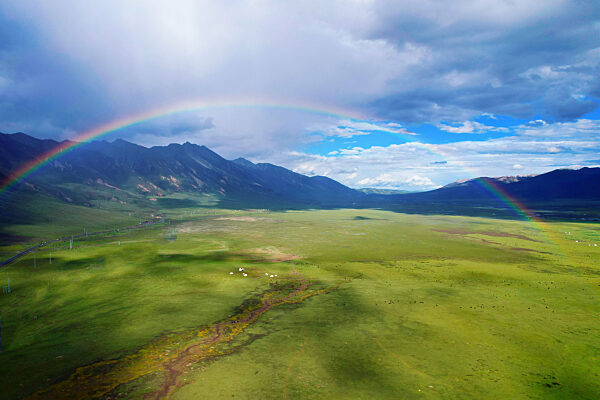 Grassland Rainbow