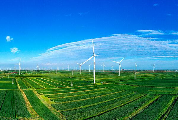 Wind Power Generation