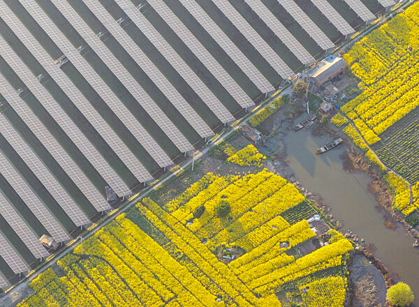 fishery-solar Hybrid Project PV Power