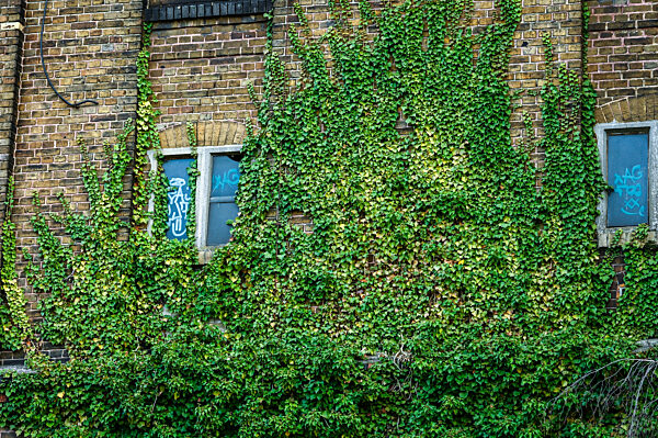 Studentenprojekt zu Lost Places in Niemberg