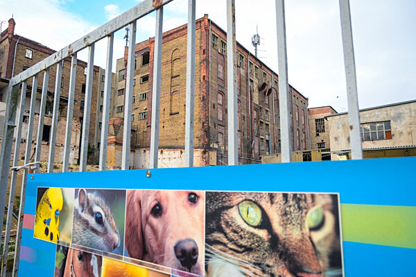 Studentenprojekt zu Lost Places in Niemberg