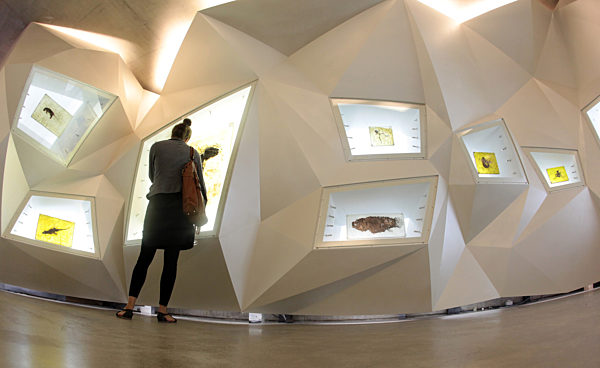 Besucherzentrum Grube Messel eröffnet