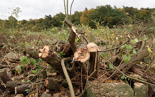Nach Fund einer Kinderleiche