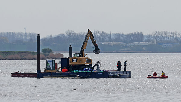 Rettungsaktion für den Buckelwal