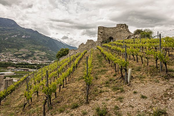 Wallis Rhone-Tal Saillon