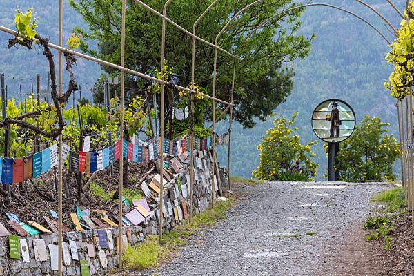 Wallis Rhone-Tal Saillon