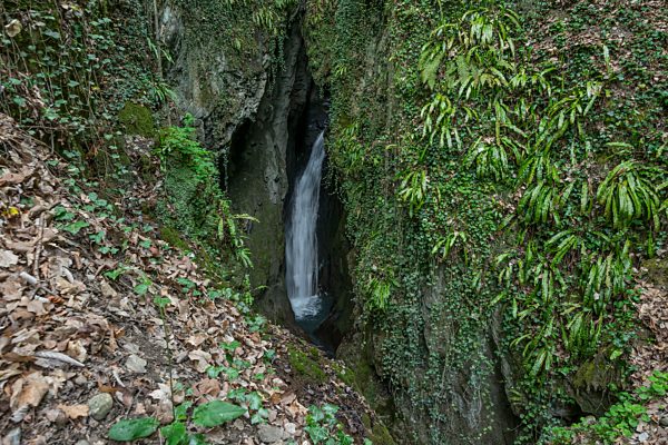 Wallis Rhone-Tal Saillon