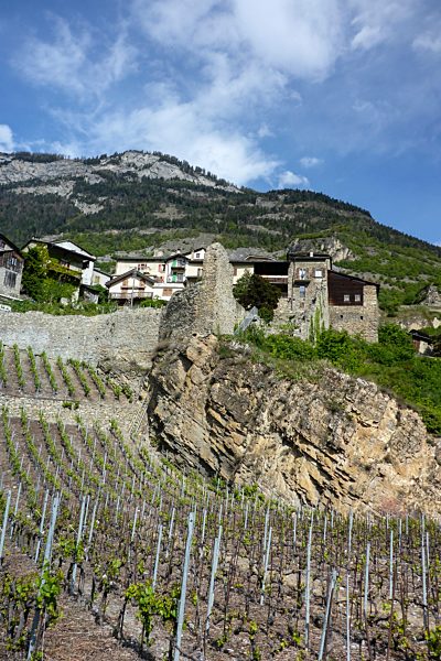 Wallis Rhone-Tal