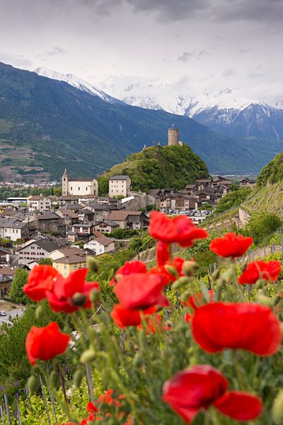 Wallis Rhone-Tal Saillon