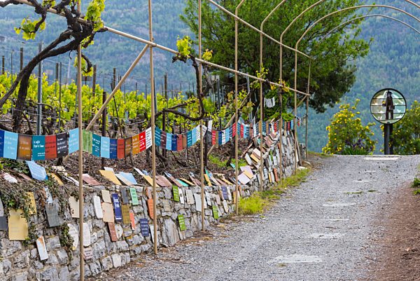 Wallis Rhone-Tal Saillon