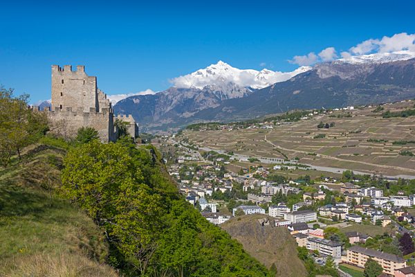 Wallis Sitten Sion Tourbillon  Ruine