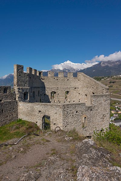 Wallis Sitten Sion Tourbillon  Ruine
