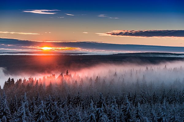 Thueringer Wald im Winter
