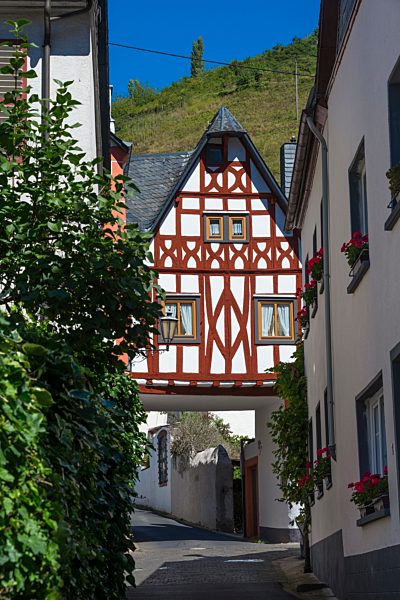 Entlang der Mosel