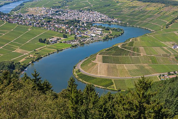 Entlang der Mosel
