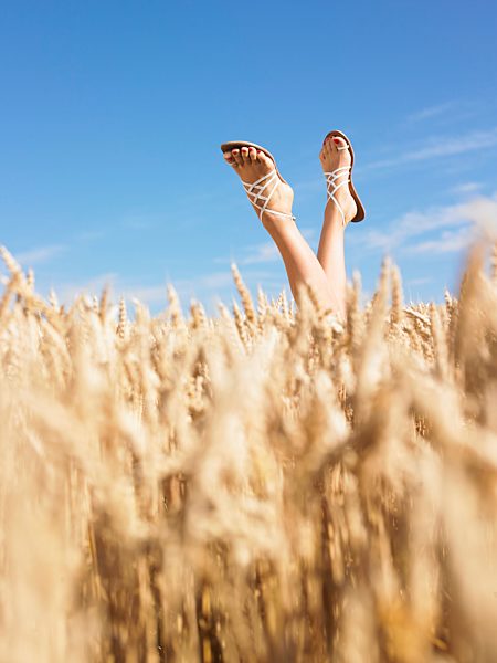 womans legs in wheat field