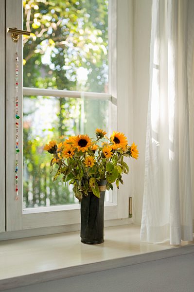 Bunch of sunflowers on a windowsill
