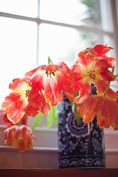 Flowers in vases and an English Garden