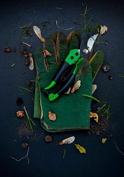 Pair of gardening gloves and secateurs