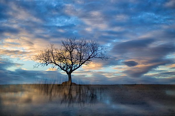 Spain, Castilla y Leon, Province of Zamora, Reserva natural de Lagunas de Villafafila, lake at sunset