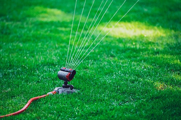 Lawn sprinkler on lawn