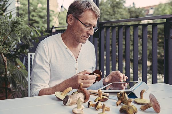 Man holding scarletina bolete while reading information on digital tablet