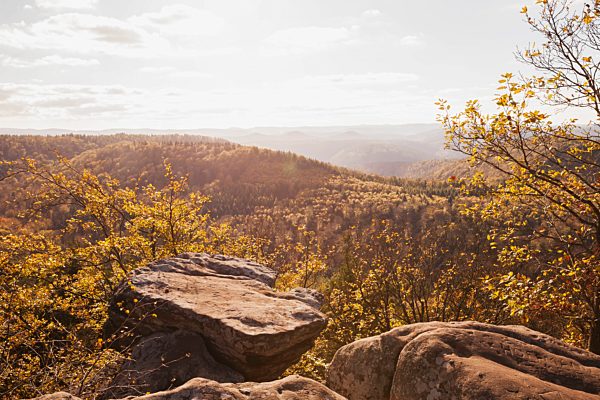 Germany,Rhineland-Palatinate, Pfalz, View from Drachenfels, Palatinate Forest Nature Park in autumn
