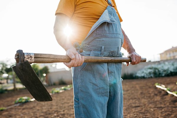 Senior man in denim holding shabby hoe tool and standing on cultivated land