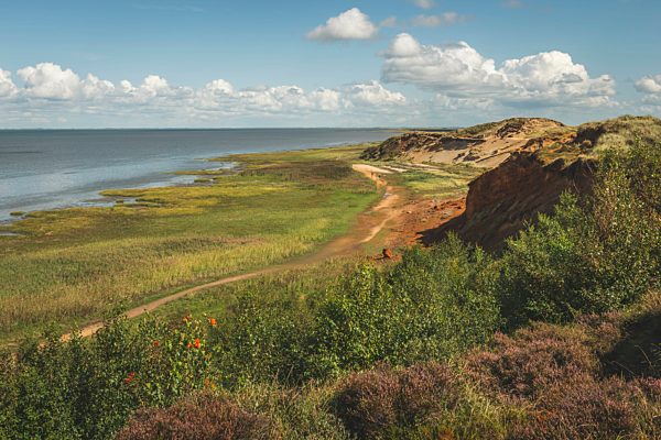 Germany, Schleswig-Holstein, Sylt, Morsum, Morsum Kliff