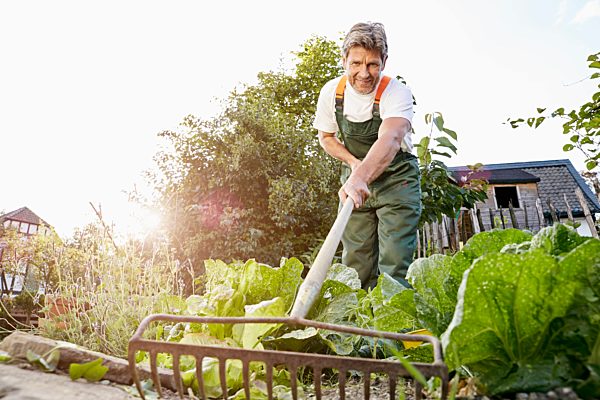Mature man standing in his garden wearing apron
