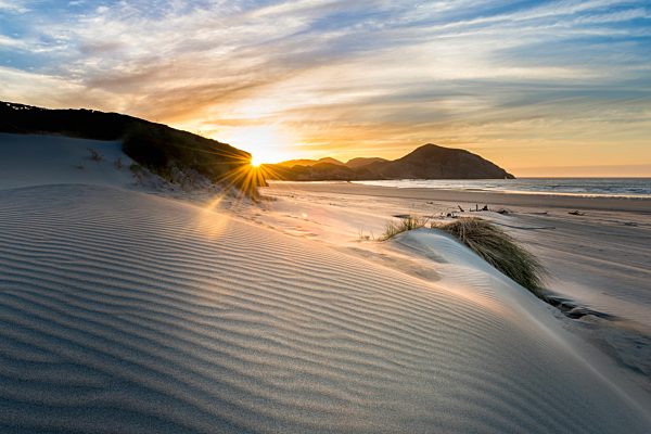 New Zealand, South Island, Puponga, Wharariki Beach, dunes at sunset