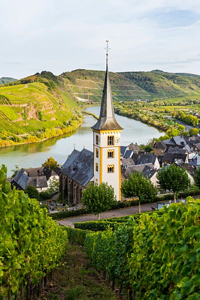 Germany, Rhineland-Palatinate, Vineyards above Bremm on the Moselle river