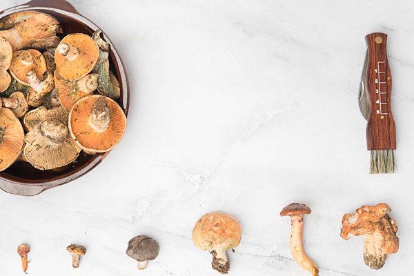 Different edible mushrooms, top view on marble