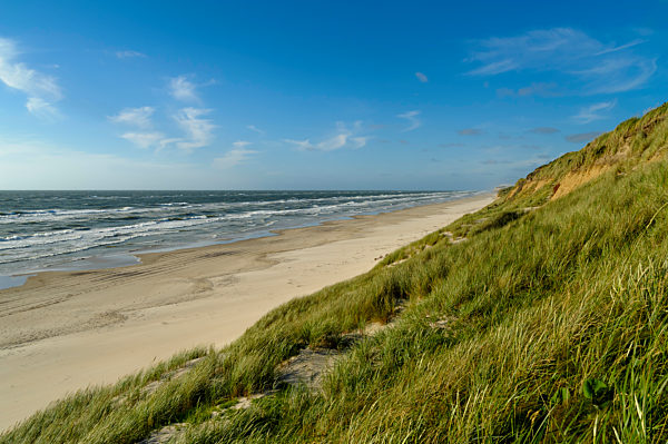 Denmark, Jutland, Lokken, dune landscape and North Sea