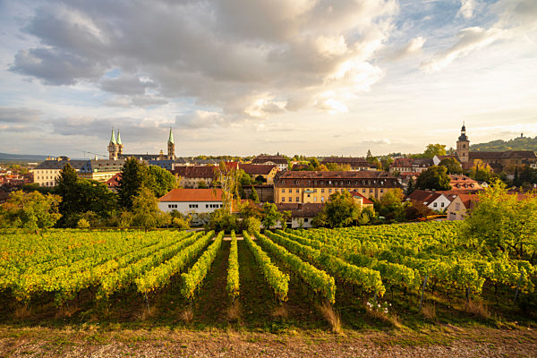 Germany, Bavaria, Bamberg, vineyard and cityscape