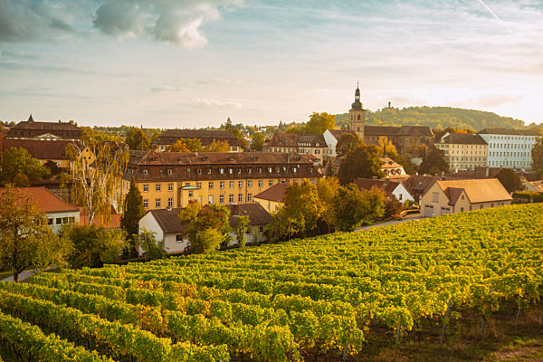 Germany, Bavaria, Bamberg, vineyard and cityscape